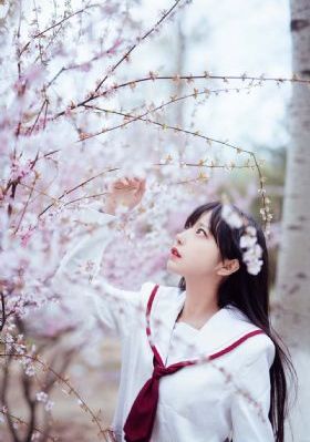 在线2019av小说_蓝光完整版观看
